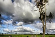 蓝鲸体育：每体：卡萨多膝盖韧带断裂，将至少缺阵两个月可能赛季报销.